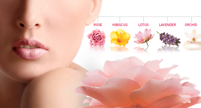 The Healing Power of Flowers