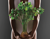 Healthy Fats: The Ones That Won’t Make You Fat Healthy Fats: The Ones That Won’t Make You Fat