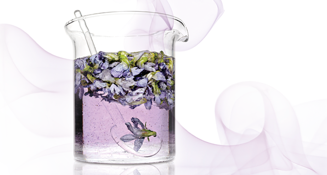 The Healing Power of Aromatherapy