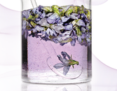 The Healing Power of Aromatherapy The Healing Power of Aromatherapy