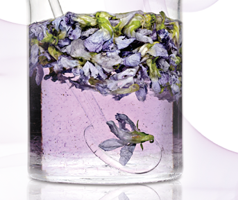 The Healing Power of Aromatherapy The Healing Power of Aromatherapy