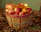 Fall Foods That Fight Cancer Fall Foods That Fight Cancer