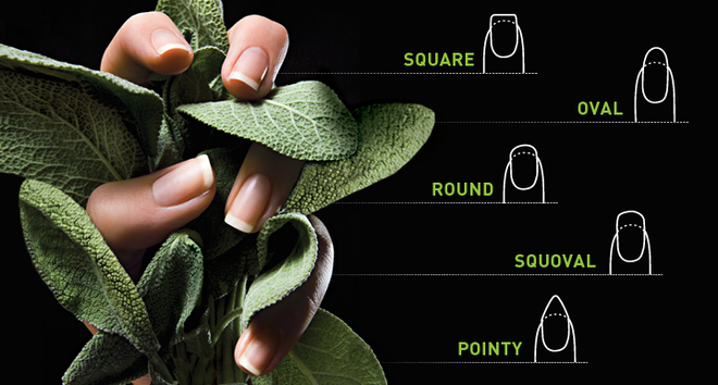 Find Your Best Nail Shape