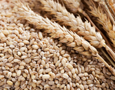 Going Gluten-Free: Healthy or Hype? Going Gluten-Free: Healthy or Hype?