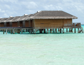 Go Green on Your Next Vacation at an Ecolodge Go Green on Your Next Vacation at an Ecolodge