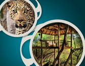 Adventurous Spa Getaways Adventurous Spa Getaways