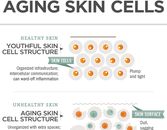 Infographic: The Science Behind Aging Skin Cells Infographic: The Science Behind Aging Skin Cells