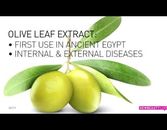 Ingredient Spotlight: Olive Leaf Extract Ingredient Spotlight: Olive Leaf Extract