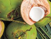5 Coconut Oil Products We Love 5 Coconut Oil Products We Love