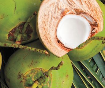 5 Coconut Oil Products We Love 5 Coconut Oil Products We Love