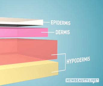 The One Skin Care Ingredient You Need to Know The One Skin Care Ingredient You Need to Know