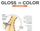 Infographic: Gloss vs. Color Infographic: Gloss vs. Color