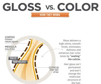 Infographic: Gloss vs. Color Infographic: Gloss vs. Color