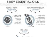 Infographic: 3 Essential Oils You Need Infographic: 3 Essential Oils You Need
