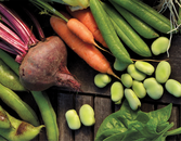 Veganism 101 Veganism 101
