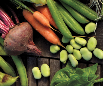 Veganism 101 Veganism 101