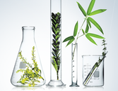 Back to Basics: The Best Natural Beauty Products Back to Basics: The Best Natural Beauty Products