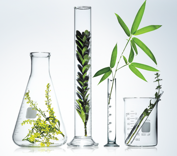 Arbonne Nature And Science Arbonne Nature And Science